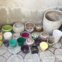 گلدان|گل و گیاه طبیعی|رشت, اسماعیل آباد|دیوار