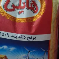 برنج هندی دانه بلند هایلی