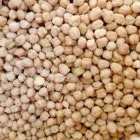 نخود|خوردنی و آشامیدنی|دورود, |دیوار