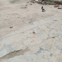 پلاکی