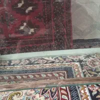 شیشه آکواریوم