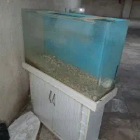 دو عدد آکواریوم با پایه میز MDF