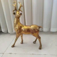 ظروف برنز