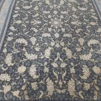نگار افشان طوسی