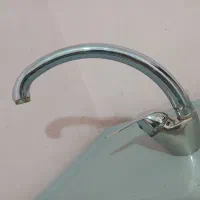 شیر روسینگی
