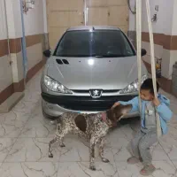 سواری دربست کلاله گنبد