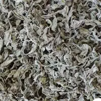 پونه خشک شده اصلی از محل مناسب