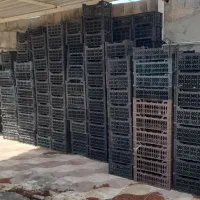سبد ۱۰ کیلویی گرجه