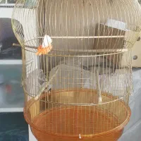 قفس بزرگ وزیبا
