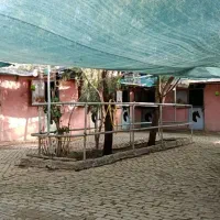 مجموعه سوارکاری شکار