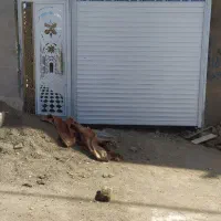 کرکره برقی و درب حیاطی