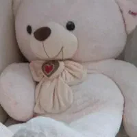 خرس خیلی بزرگ