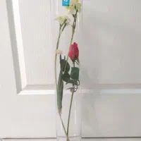 گل و گلدان