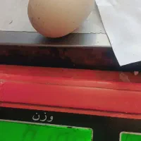 سنگ الماس اسیاب