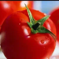ابگیری گوجه سیار درب منزل