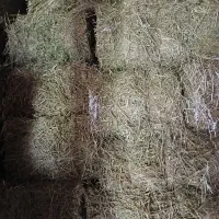 پرس یونجه دیم سرحد