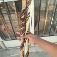 چوب هنر دست یه تیکه طرح مار