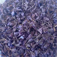 خرید وفروش