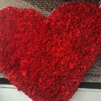پادری قلب