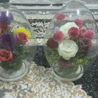 ۲عددگلدون