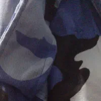 اورکت نیرو هوایی