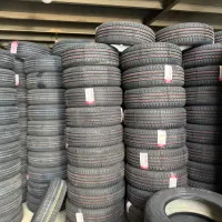لاستیک دولتی