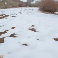 حراج فوری زمین کشاورزی