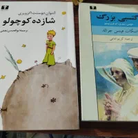 دو عدد کتاب