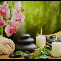 فروش روغن گیاهی ماساژ