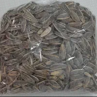 فروش تخمه به عمده