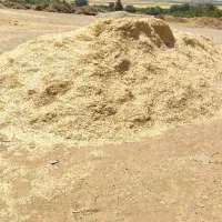 کاه