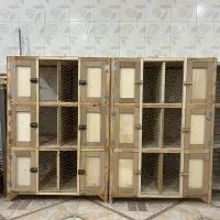 قفس چوبی پرنده جفتگاه کبوتر