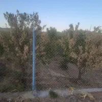 فروش باغ