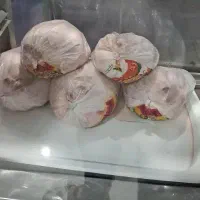 ضایعات مرغ