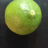 لیمو ترش