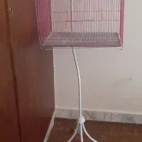 قفس پرنده
