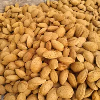 بادام درختی تازه