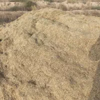 کاه جو