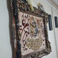 عروس هلندی طلایی وسطیه