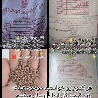 کود دی آمونیوم فسفات شرکت رازی درجه یک ریشه.تریپل