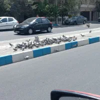 اجاره پارکینگ برای خودرو و ماشین
