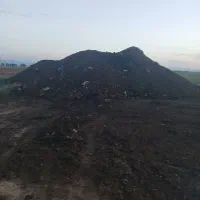 کودگاوی.گوسفندی