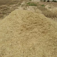 کاه|لوازم جانبی حیوانات|چمران, |دیوار