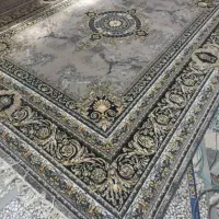 Farsh e patris|فرش|بندر گناوه, |دیوار