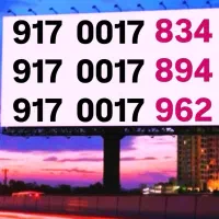 917.0017
