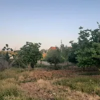باغچه ۱۰۰۰متری خانزنیان سادات اباد|فروش دفتر صنعتی، کشاورزی، تجاری|شیراز, بازار|دیوار
