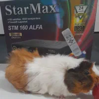 نصاب نصب تنظیم انتن و تلویزیون مهرشهر کل کرج