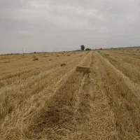 شهر دشت عباس