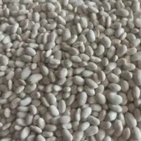 لوبیاسفیدفروشی