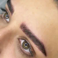 مدل فیبروز